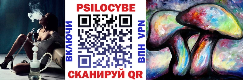 как найти закладки  Элиста  Галлюциногенные грибы Psilocybe 